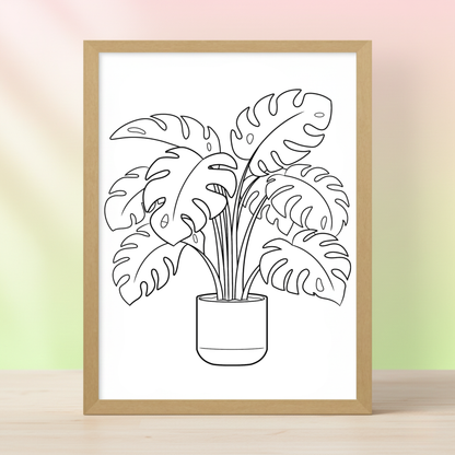 Monstera
