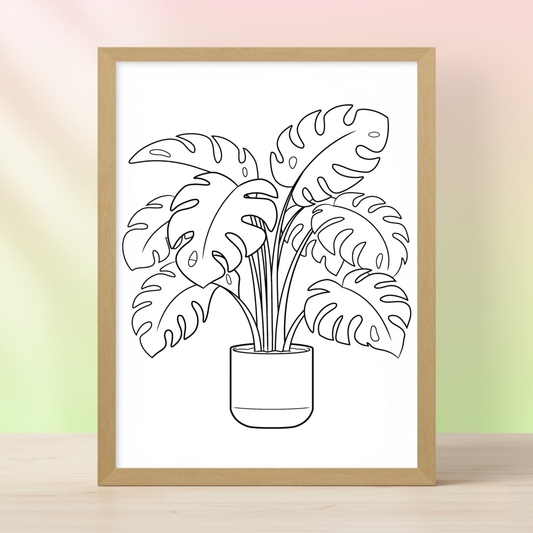 Monstera